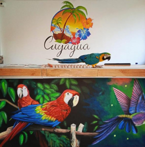 Hostal Cuyagua